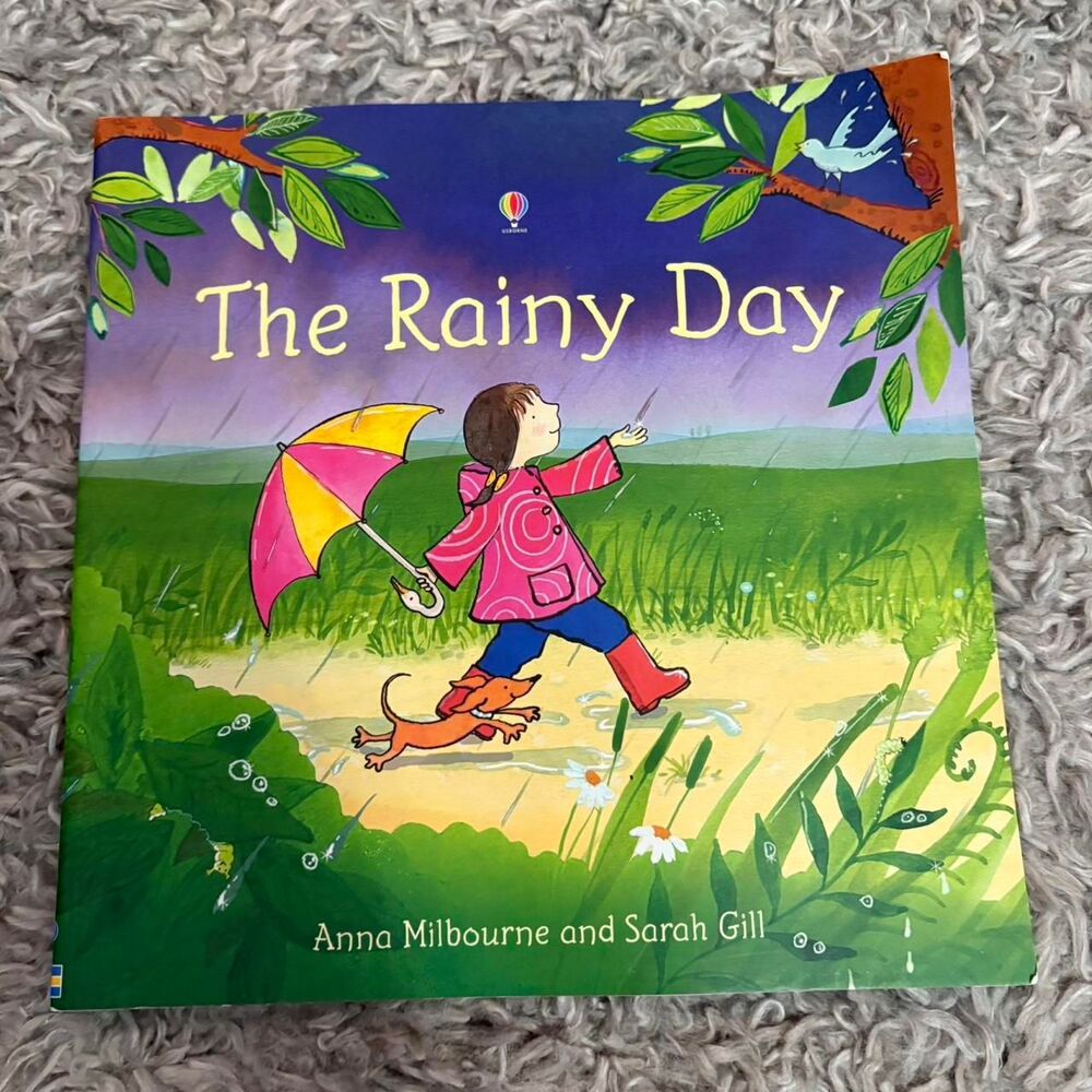 USBORNE The rainy day paperback book GUC